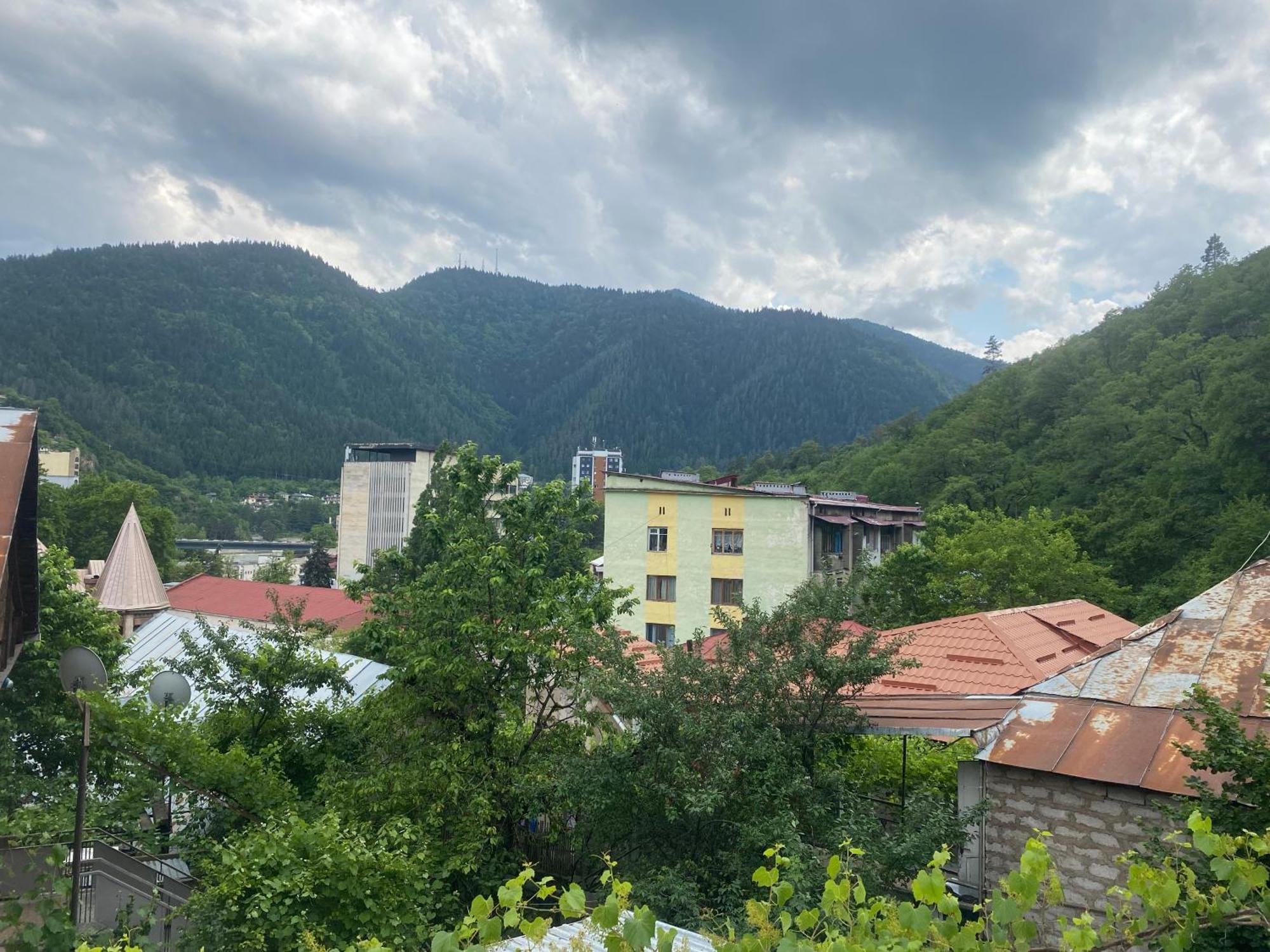 Hillside Guesthouse Боржоми Екстериор снимка